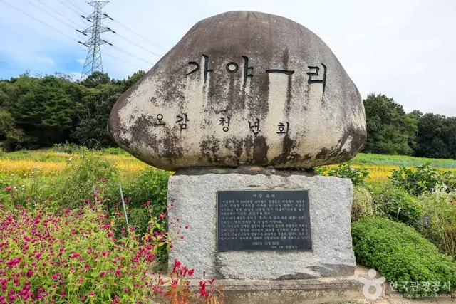 여주 오감도토리마을 사진