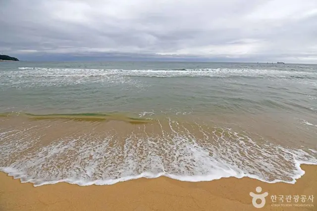 금진해변 사진