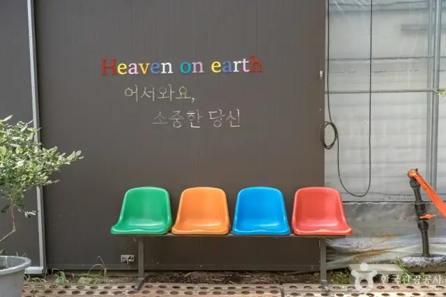 헤븐온어스 사진