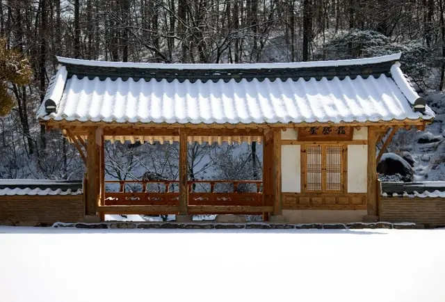 메덩골정원 사진