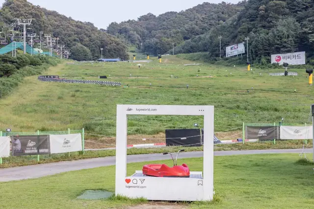 비발디파크 루지월드 사진