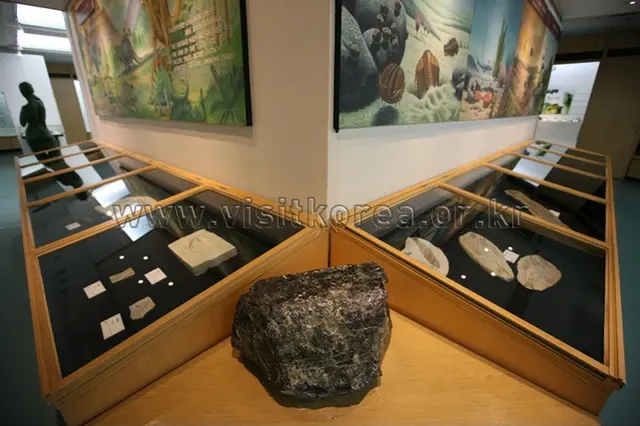 경희대학교 자연사박물관 사진