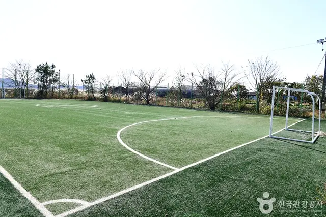 만돌갯벌체험학습장 사진
