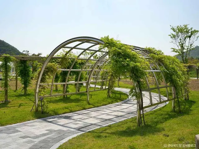 라원 사진