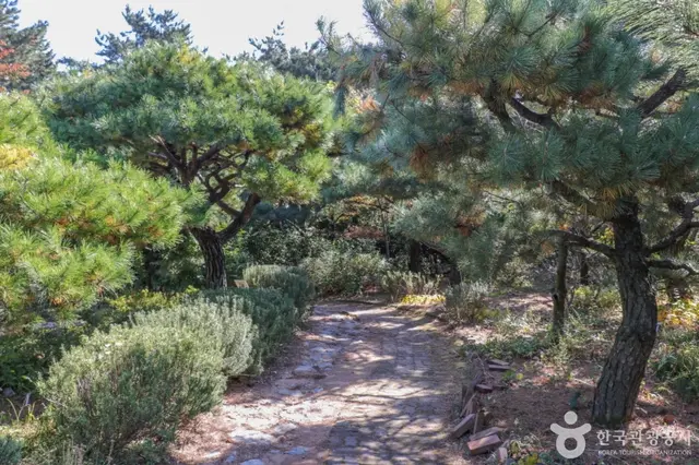 울산테마식물수목원 사진