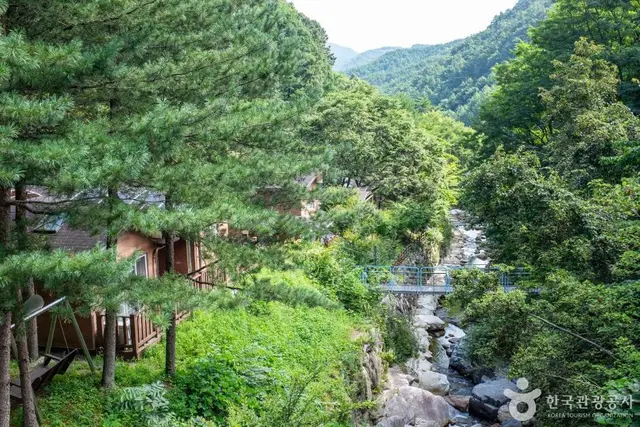 수도산자연휴양림 사진