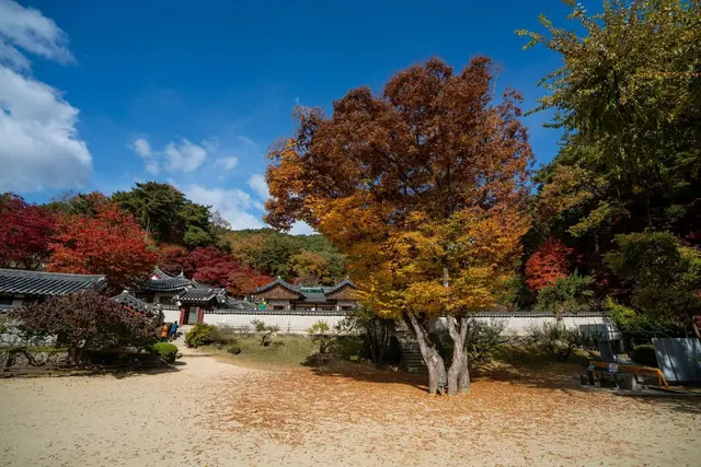 도산서원 사진