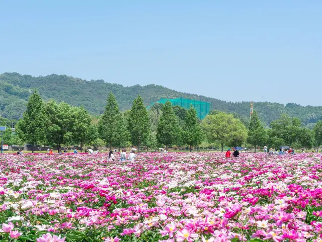 핫들생태공원 사진
