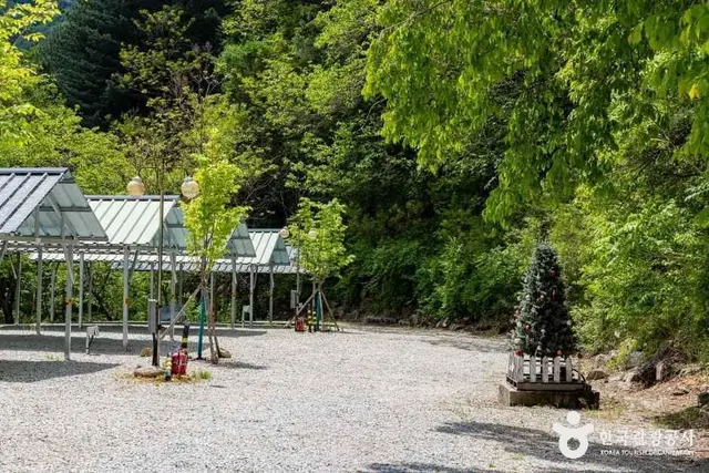 달재오토캠핑장 사진