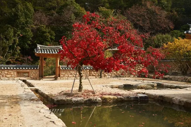 메덩골정원 사진