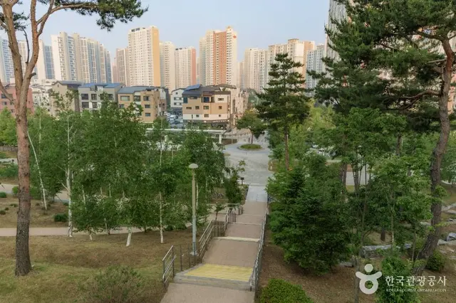다산중앙공원 도르래놀이터 사진