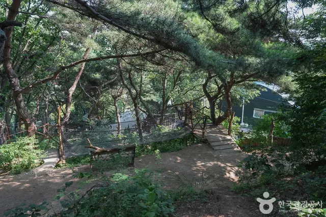 톰아저씨트리하우스 사진