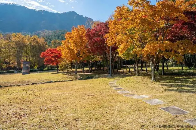 내장산조각공원 사진