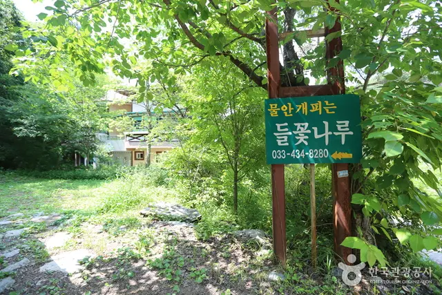 물안개피는 들꽃나루펜션 사진