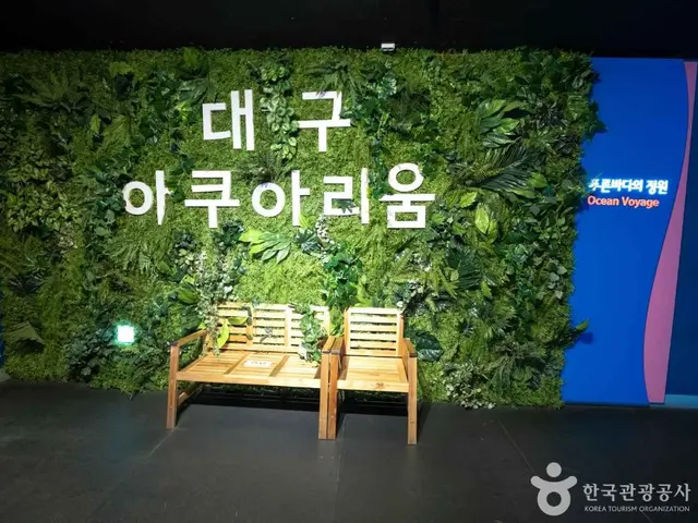 대구아쿠아리움 사진