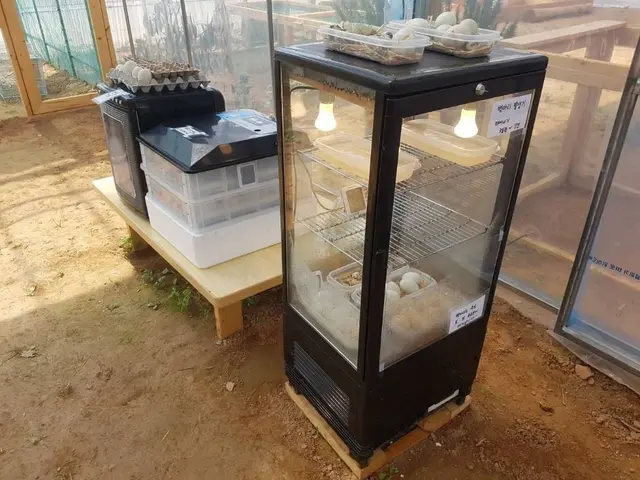 나눔농장(파주) 사진