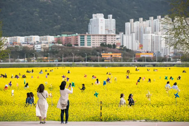 대저생태공원 사진