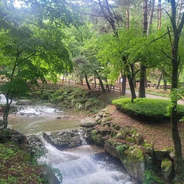 국립검마산자연휴양림 사진
