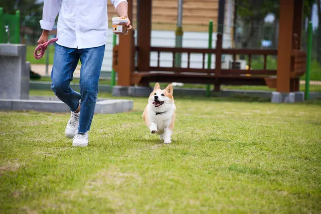요천생태습지공원 사진