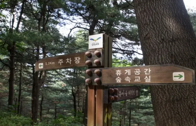 독산성산림욕장 사진