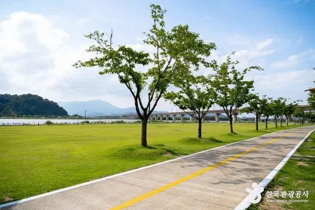 칠곡보 생태공원 사진