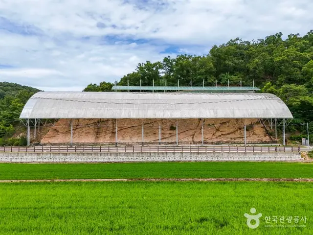 의성 제오리 공룡발자국 화석산지 사진