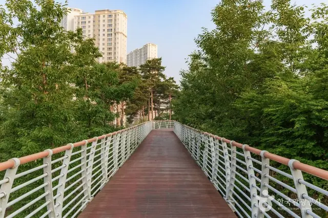 다산중앙공원 도르래놀이터 사진