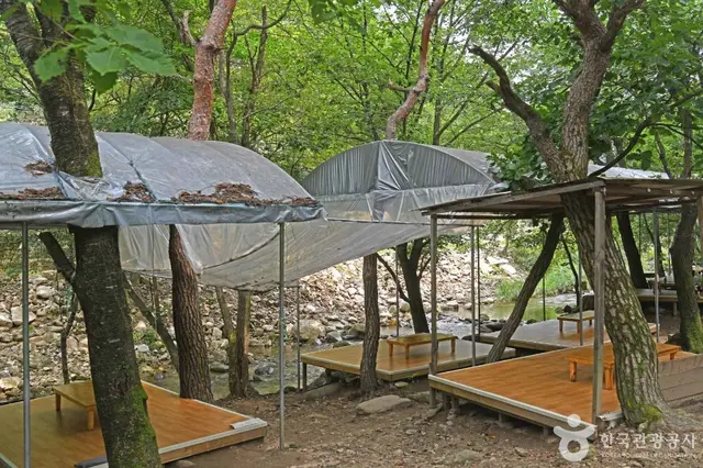 명암산채건강마을 사진