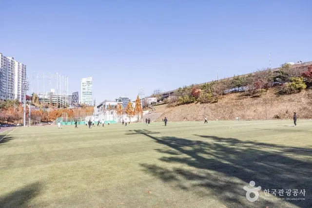 대치유수지체육공원 사진
