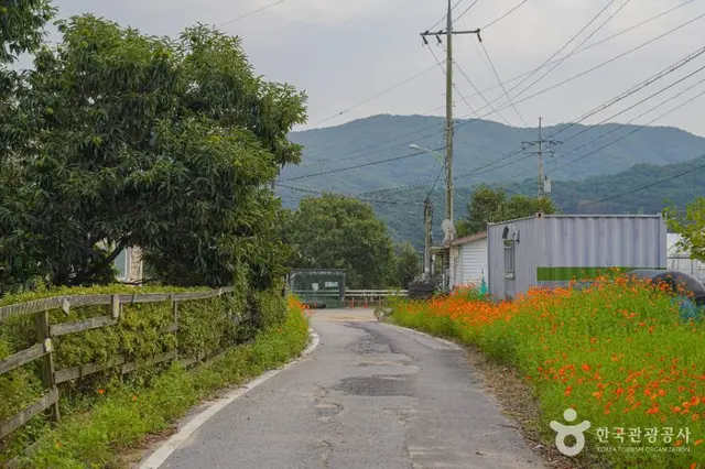 안성 구메농사마을 사진
