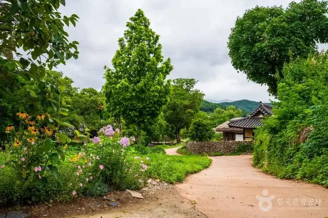 외암민속마을 사진