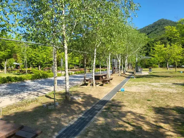홍천강오토캠핑장 사진