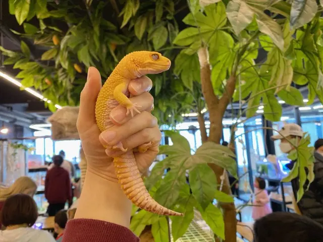 마리앤쥬 사진