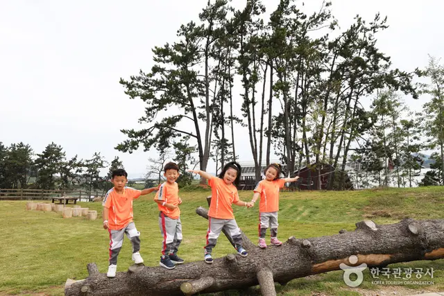 상하농원 파머스빌리지 사진
