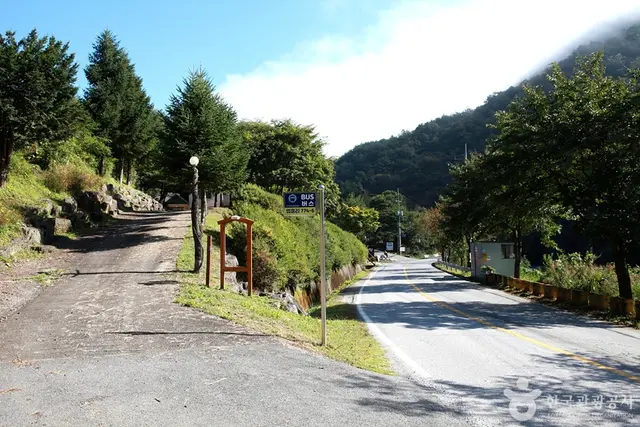 법흥계곡 사진
