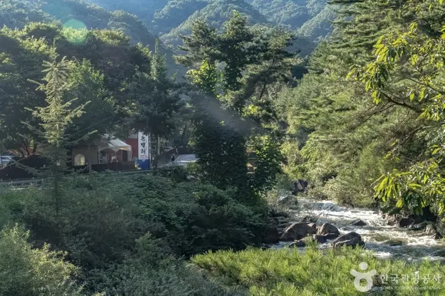 엄둔밸리 계곡펜션캠핑장 사진