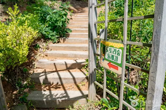 도토리숲키즈파크 사진