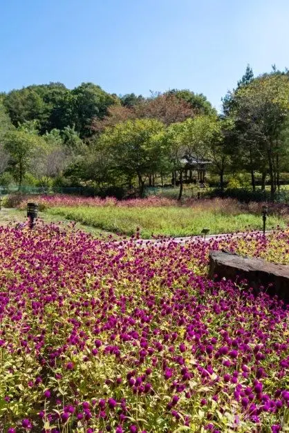 만뢰산자연생태공원 사진