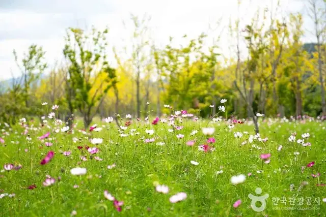 해운대수목원 사진