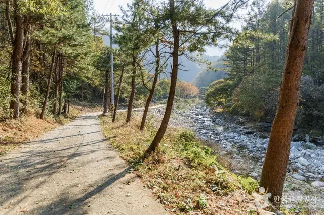 명지계곡 사진