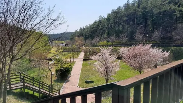 운주산승마자연휴양림 사진