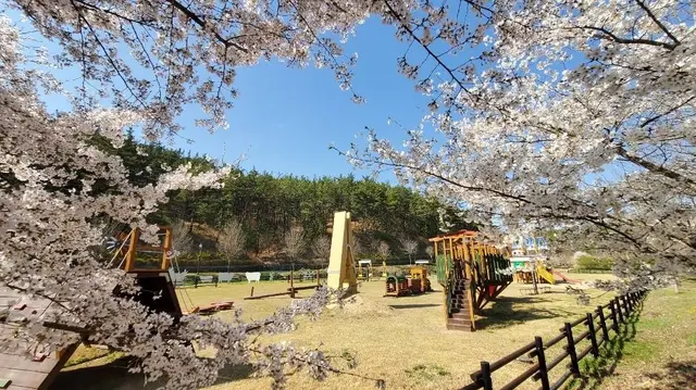 운주산승마자연휴양림 사진
