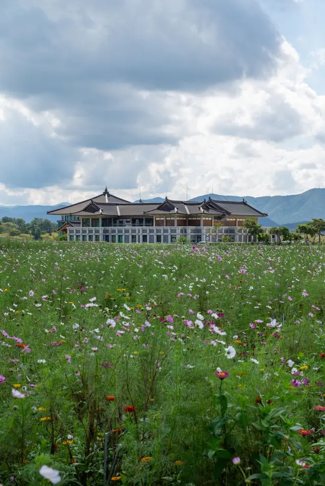 황룡사역사문화관 사진