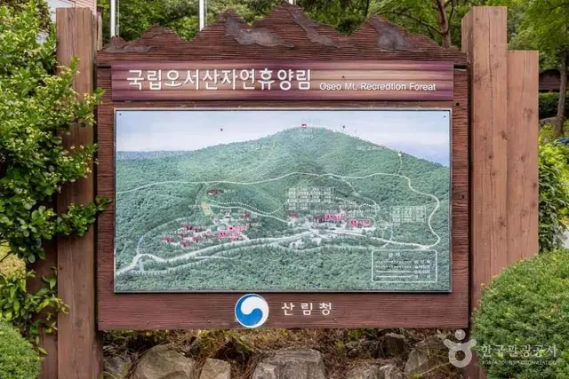 국립오서산자연휴양림 사진
