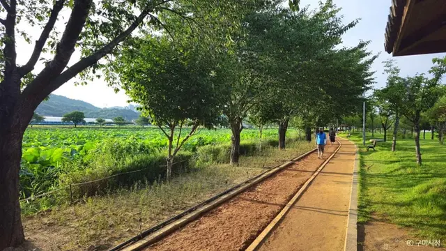 지산샛강생태공원 사진