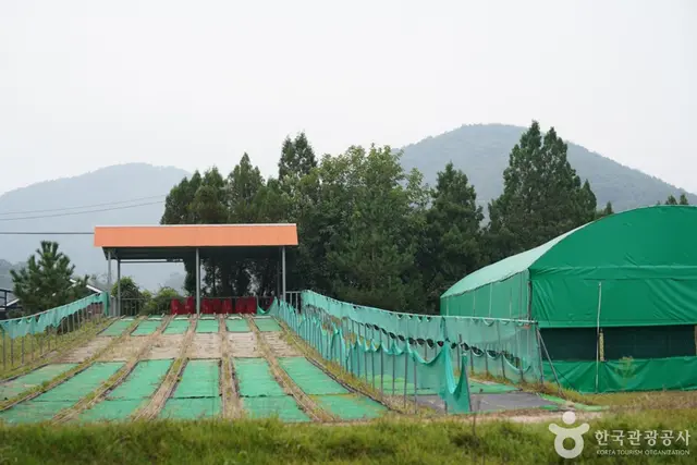 임실치즈학교 경주체험장 사진