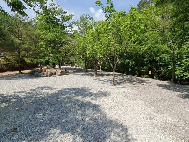 검산별빛캠핑장 사진