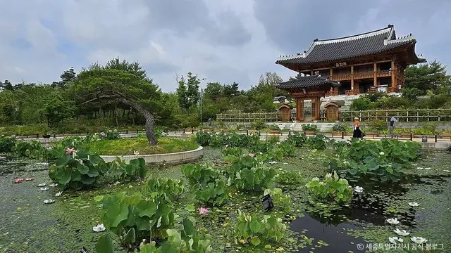 국립세종수목원 사진