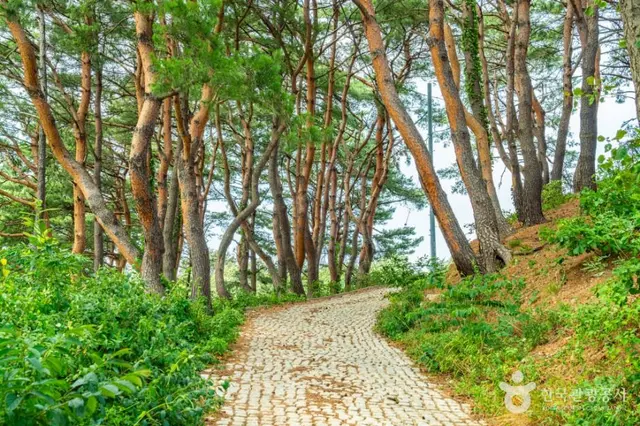 거진등대해맞이공원 사진