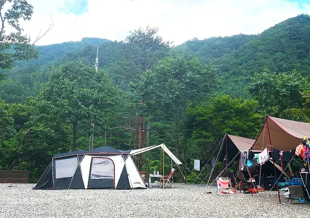 우리들캠핑장 사진